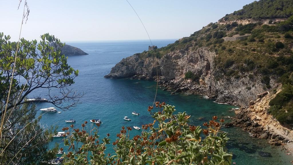 Mattimamihouse Διαμέρισμα Montepescali Εξωτερικό φωτογραφία