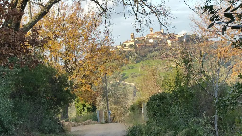 Mattimamihouse Διαμέρισμα Montepescali Εξωτερικό φωτογραφία